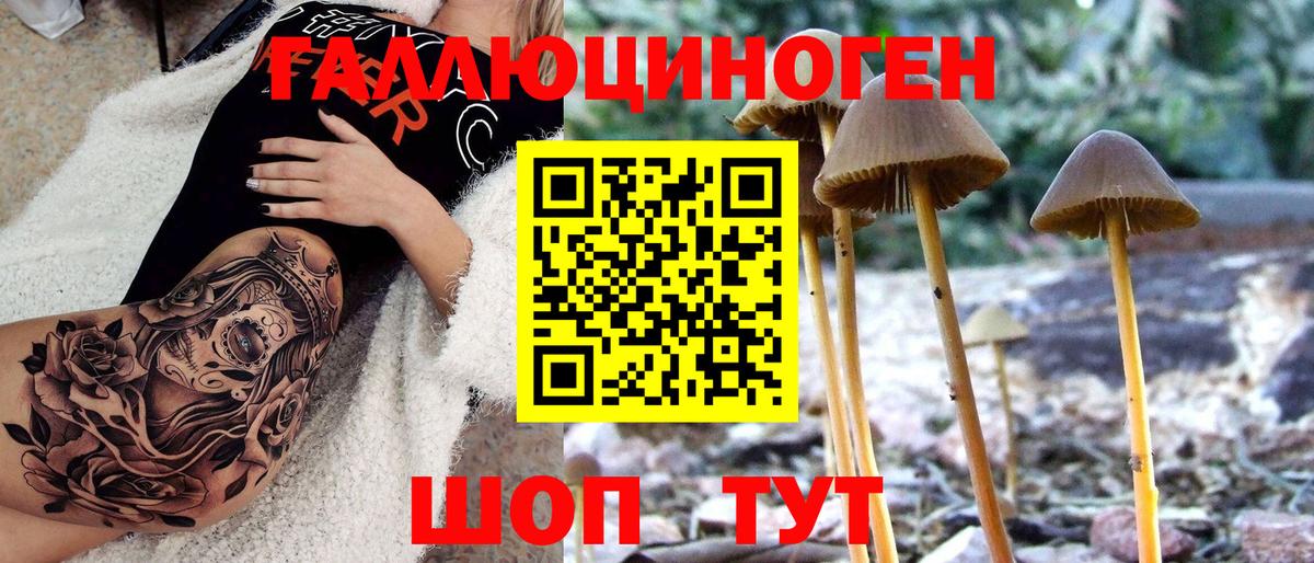 Галлюциногенные грибы GOLDEN TEACHER Учалы
