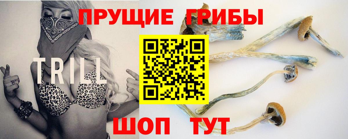 Галлюциногенные грибы Psilocybe  Вход с VPN  Учалы  Галлюциногенные грибы Psilocybe 